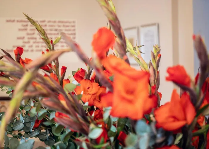 酒店 吕克特别墅酒店 3*