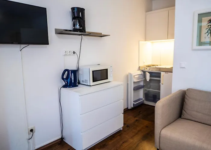 吕克特别墅酒店 3*