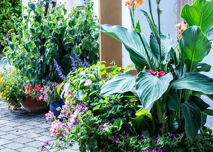 Ξενοδοχείο Rueckert Γκρατς